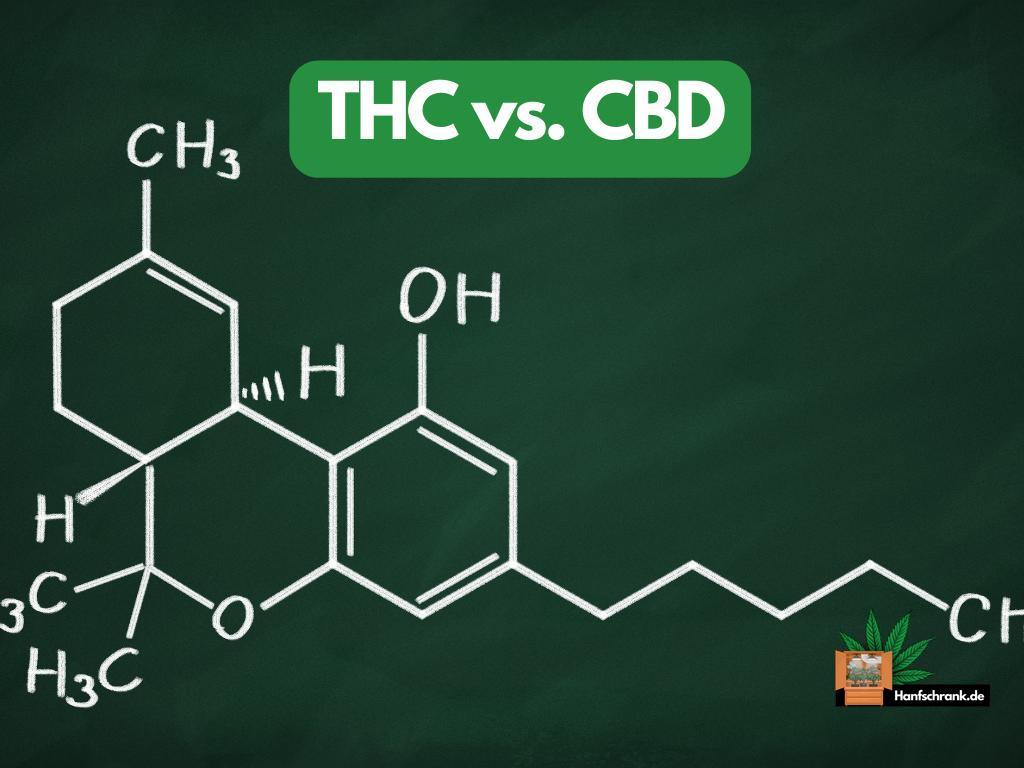 Unterschiede Zwischen Cbd Und Thc Informative Analyse